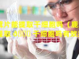 鹿茸片能提取干细胞吗（鹿茸片能提取 🕊 干细胞吗有效果吗）